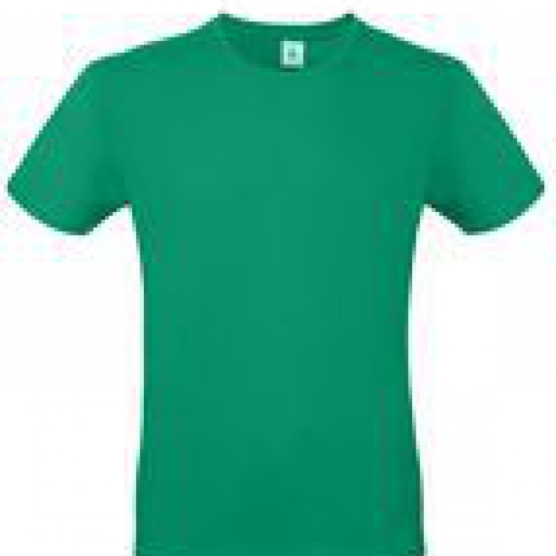 Футболка мужская E150, 8 цветов. Артикул рTU01T