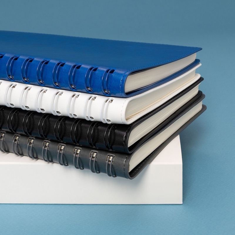 Ежедневник Vista Neo недатированный, 5 цветов. Артикул е24267