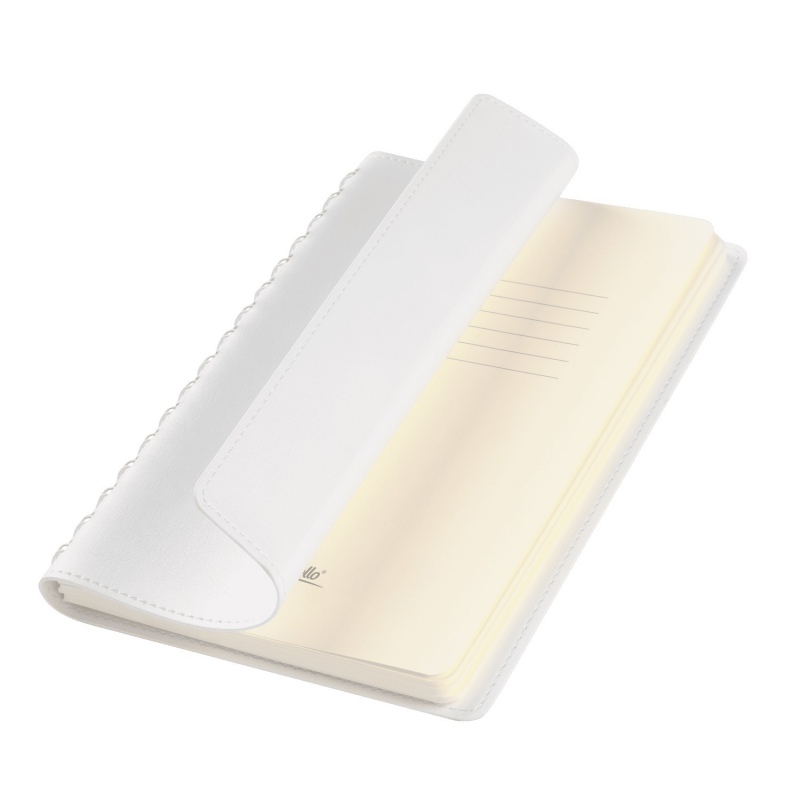 Ежедневник Vista Neo недатированный, 5 цветов. Артикул е24267