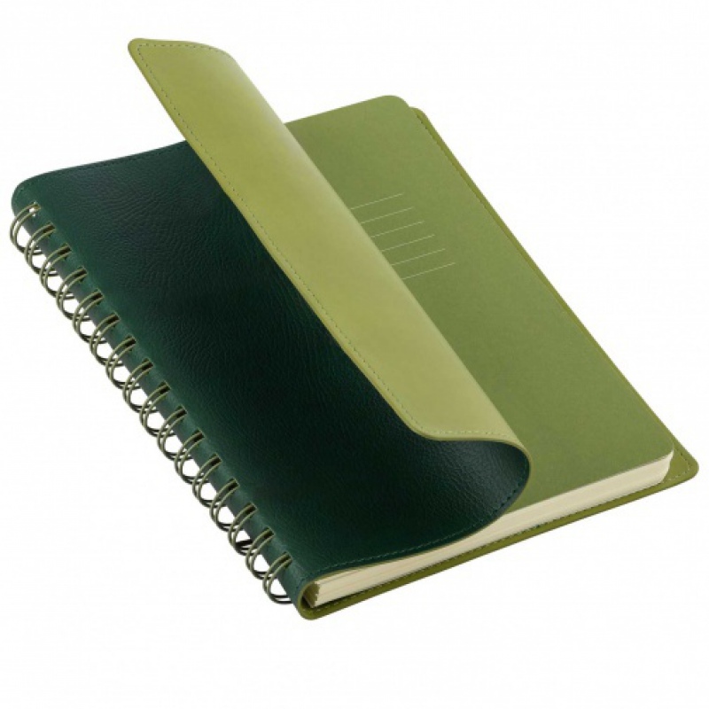 Ежедневник Portobello Trend, Vista, недатированный, зеленый/салатовый. Артикул е17267.040.045