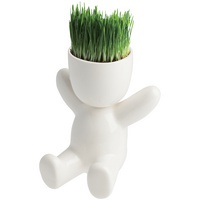 Набор для выращивания Funky. Артикул р10111.0