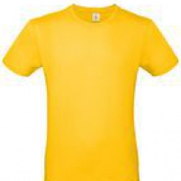 Футболка мужская E150, 8 цветов. Артикул рTU01T