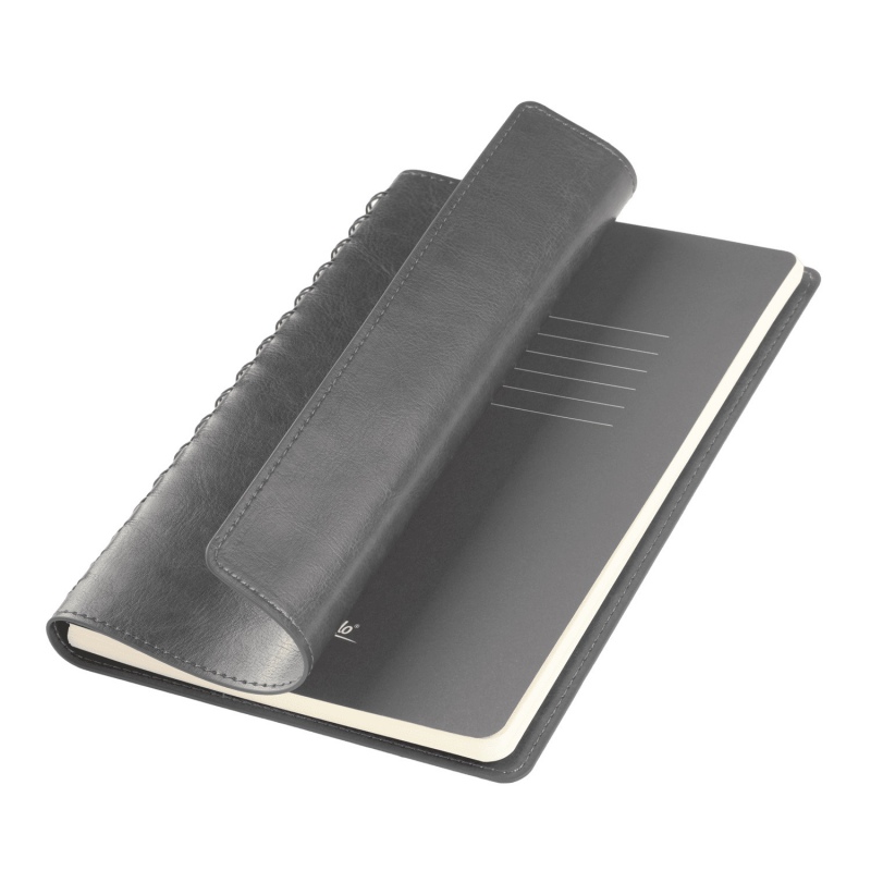 Ежедневник Vista Neo недатированный, 5 цветов. Артикул е24267