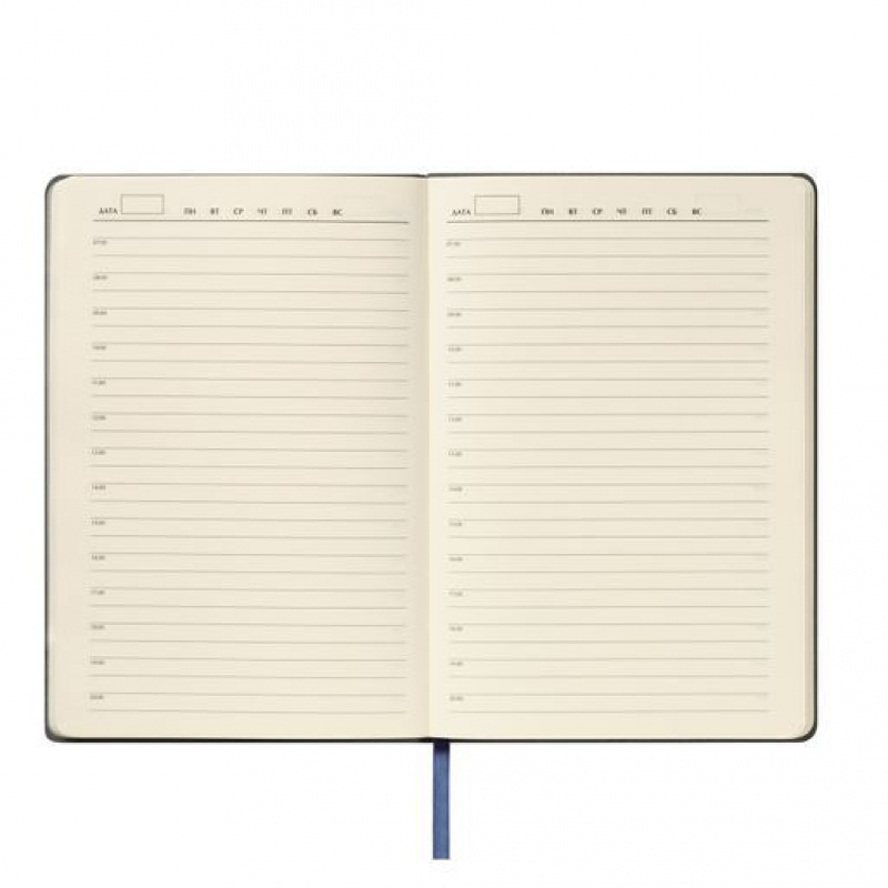 Ежедневник Teolo недатированный, 5 цветов. Артикул е21282