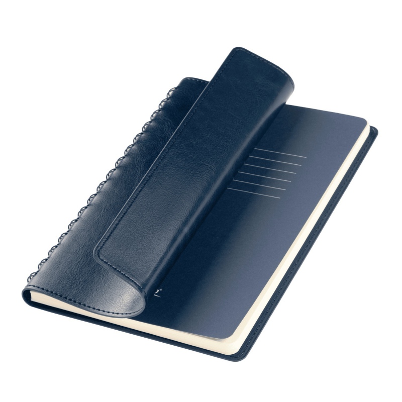 Ежедневник Vista Neo недатированный, 5 цветов. Артикул е24267