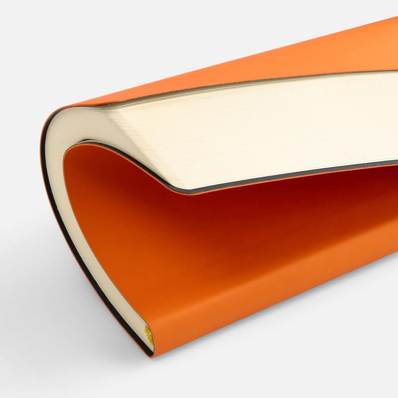 Ежедневник Flex Shall New, недатированный, 12 цветов. Артикул р27881